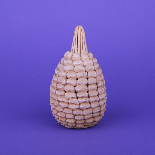 Corn cob