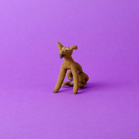 Brown dog