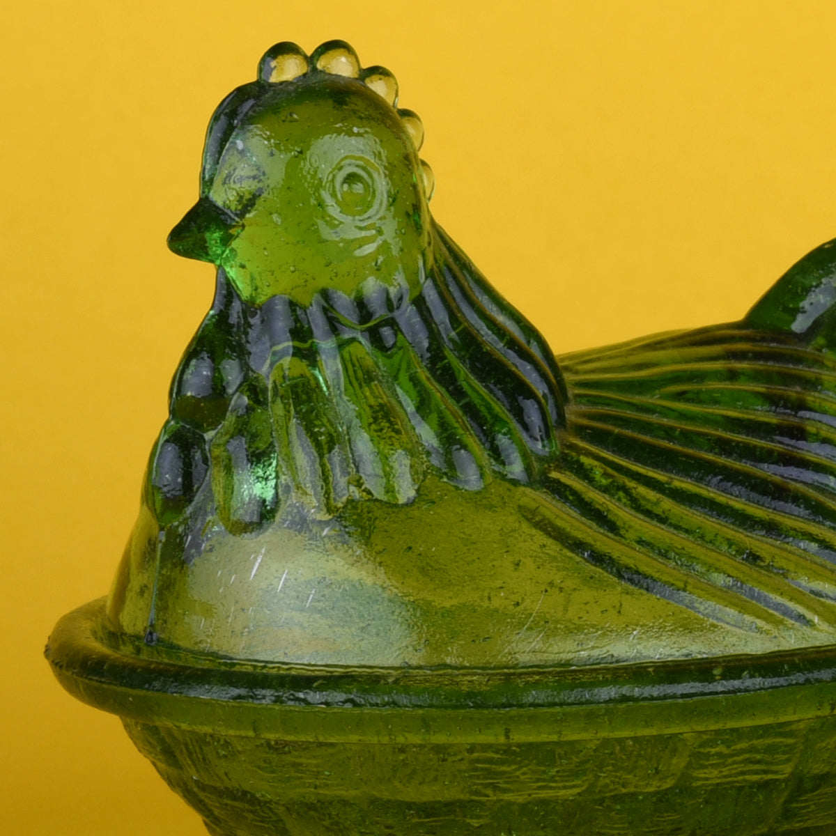 Gallina verde