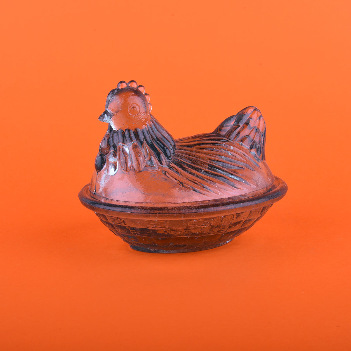 Gallina transparente