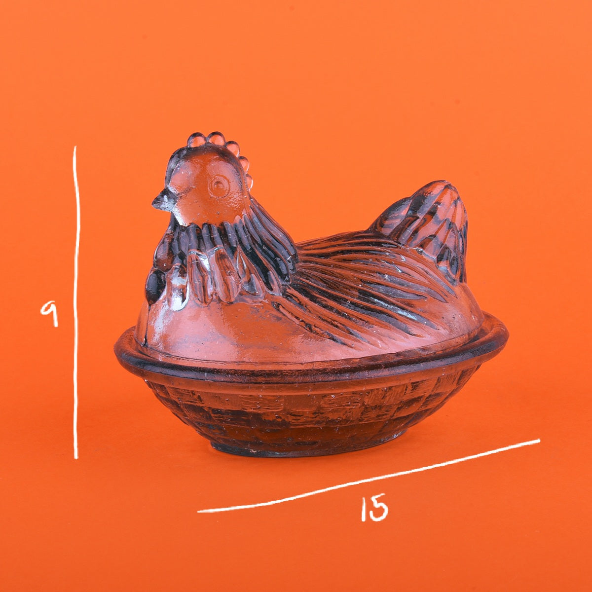 Gallina transparente