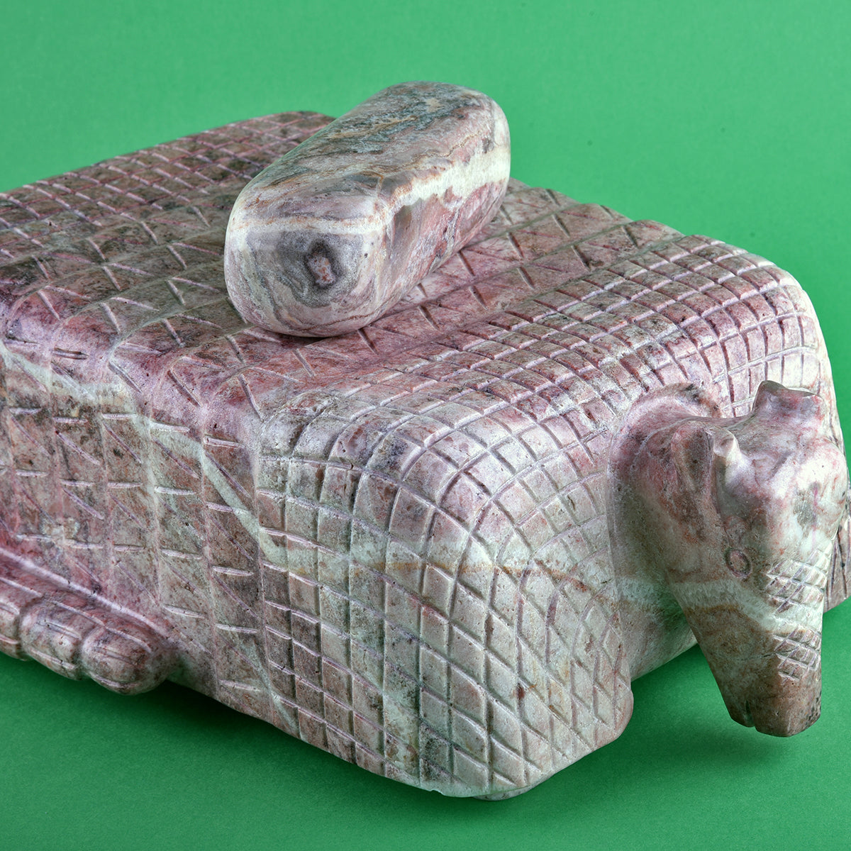 Metate armadillo