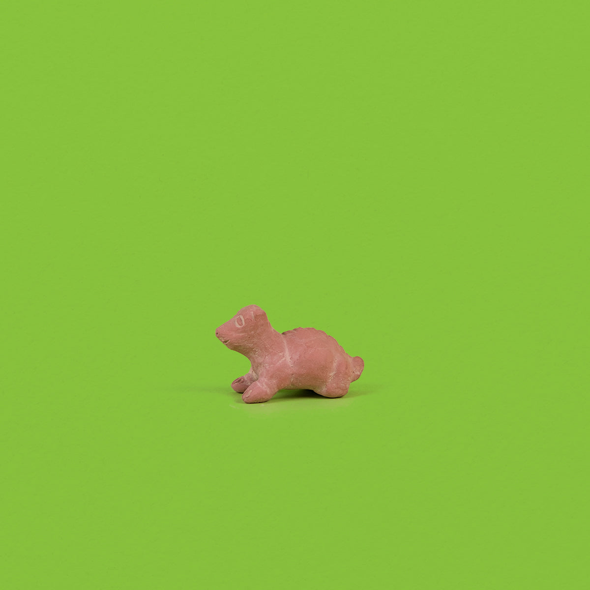 Xolito