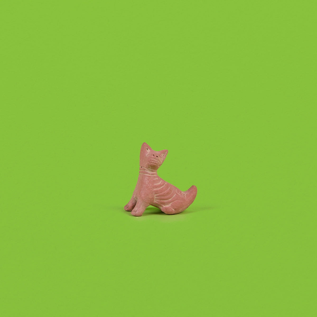 Xolito